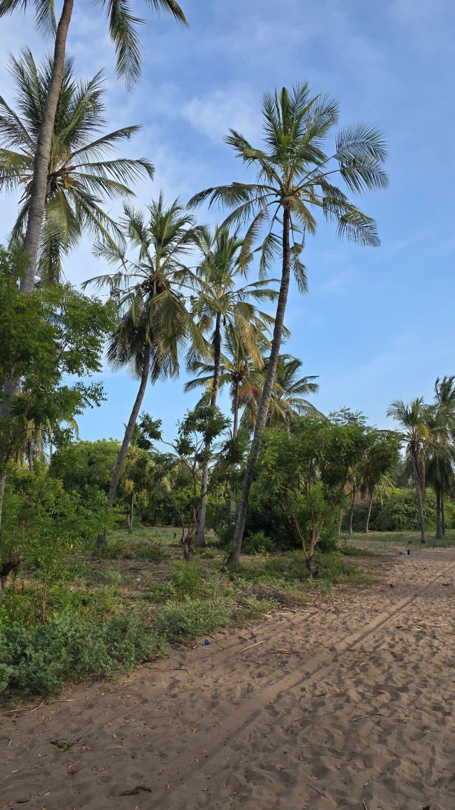 Prime 2nd-Row Beach Property